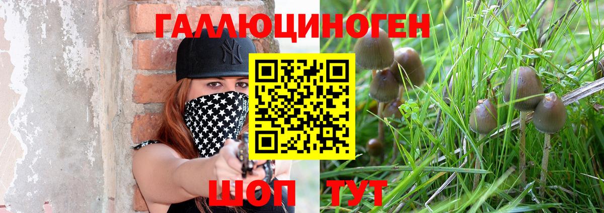 Керчь  Псилоцибиновые грибы ЛСД  Псилоцибиновые грибы мухоморы  купить   Вход с VPN 